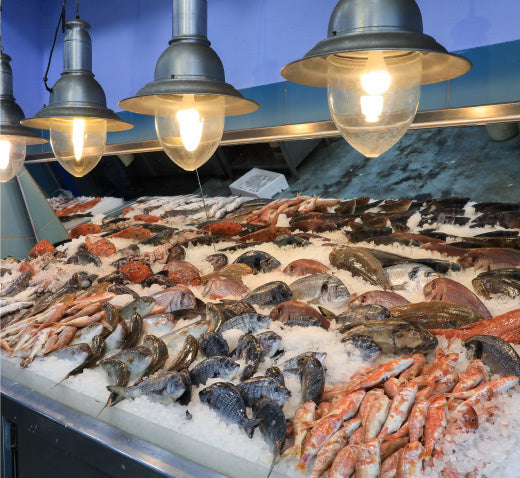 The State of South Africa’s Fishing Sustainability