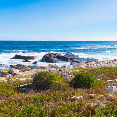 How the West Coast Became Seafood Heaven