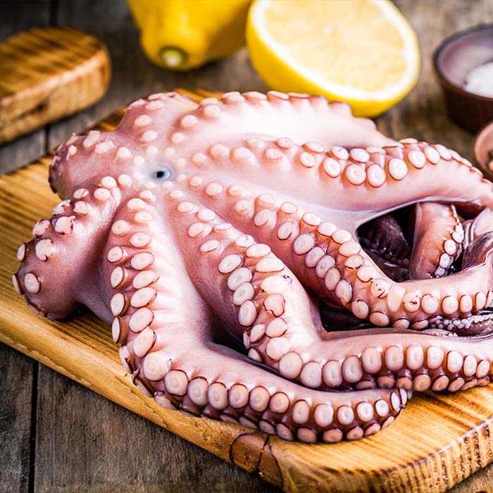 Frozen Octopus