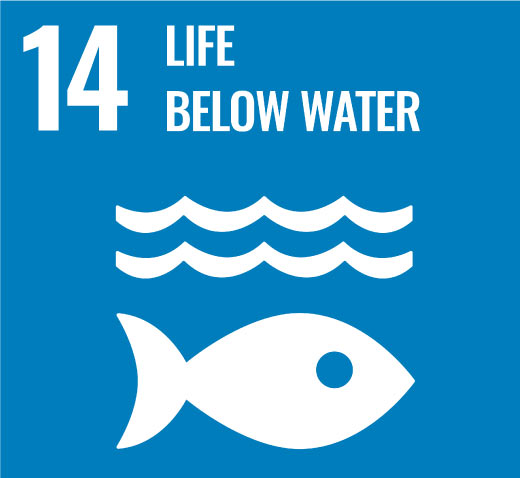 Sustainable Development Goals Within South Africa’s Aquatic Ecosystem