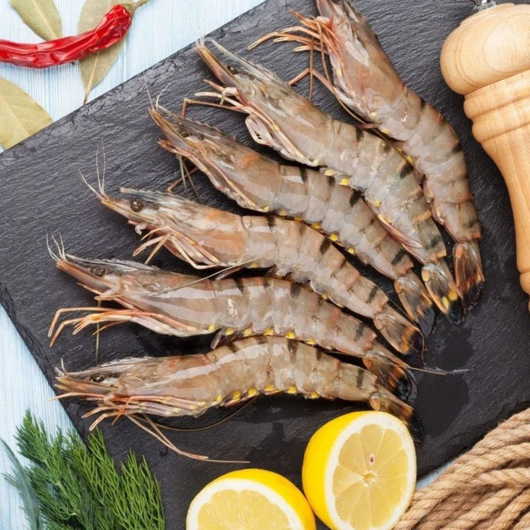 Wild Tiger Prawns 10-15/kg