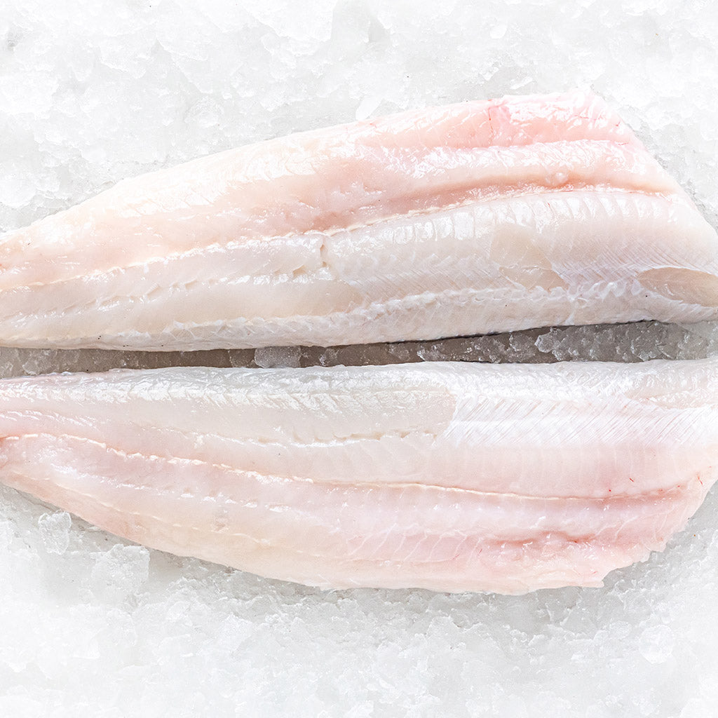 2 Fresh Hake Fillets