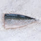 1 Fresh Yellowtail Fillet